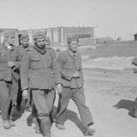 Советский пехотинец конвоирует немецких военнопленных на подступах к Сталинграду